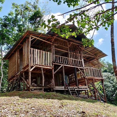 Orangutantreksumatra & Lovely Jungle Lodge Only Book If You Are Treking With Us Bukit Lawang Exteriör bild
