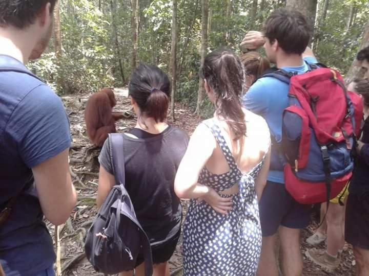 Orangutantreksumatra & Lovely Jungle Lodge Only Book If You Are Treking With Us Bukit Lawang Exteriör bild