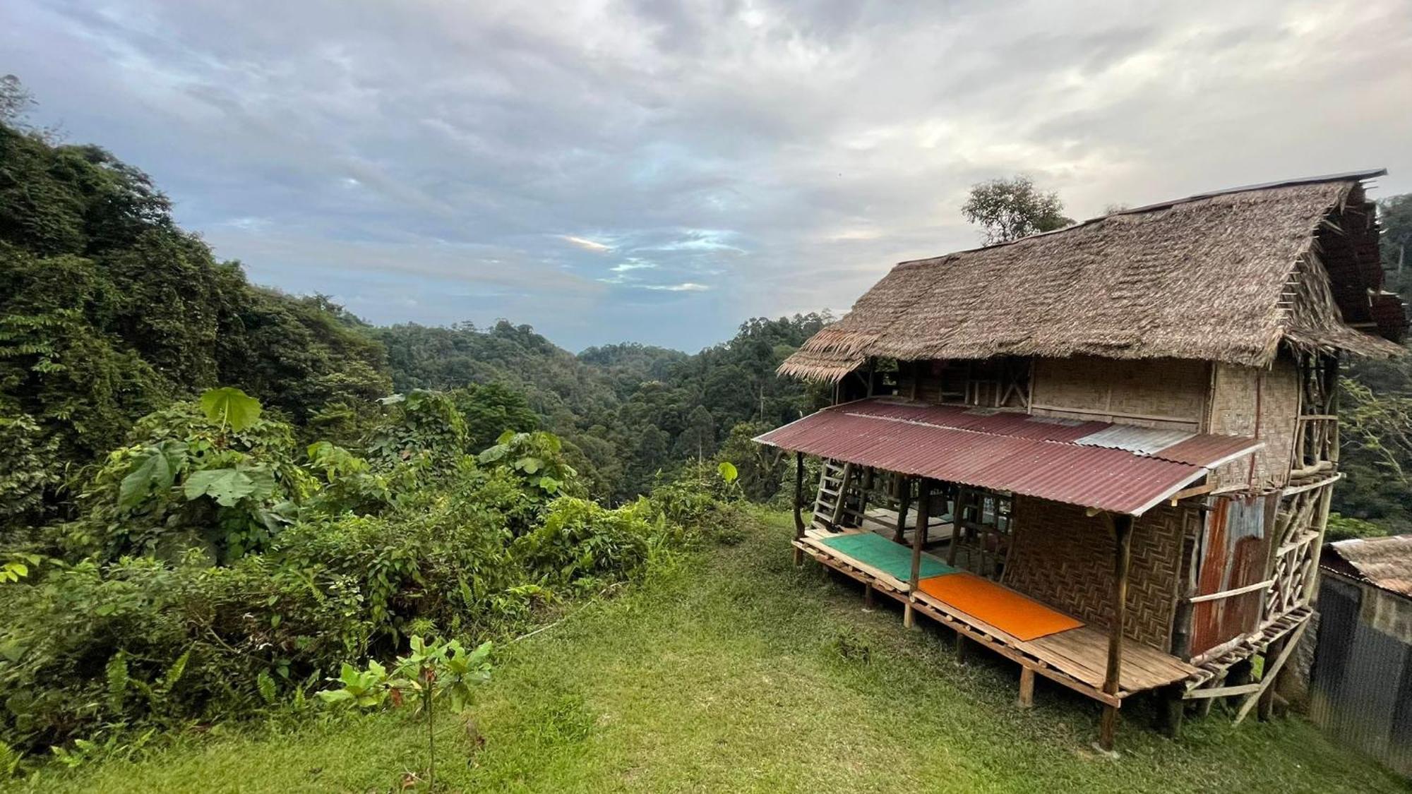 Orangutantreksumatra & Lovely Jungle Lodge Only Book If You Are Treking With Us Bukit Lawang Rum bild