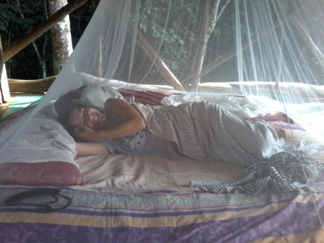 Orangutantreksumatra & Lovely Jungle Lodge Only Book If You Are Treking With Us Bukit Lawang Rum bild