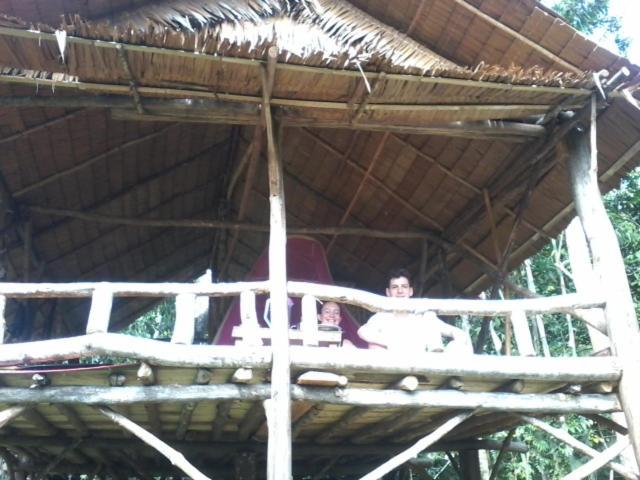 Orangutantreksumatra & Lovely Jungle Lodge Only Book If You Are Treking With Us Bukit Lawang Rum bild