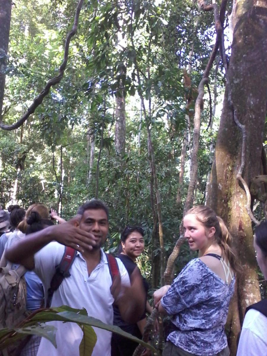 Orangutantreksumatra & Lovely Jungle Lodge Only Book If You Are Treking With Us Bukit Lawang Rum bild
