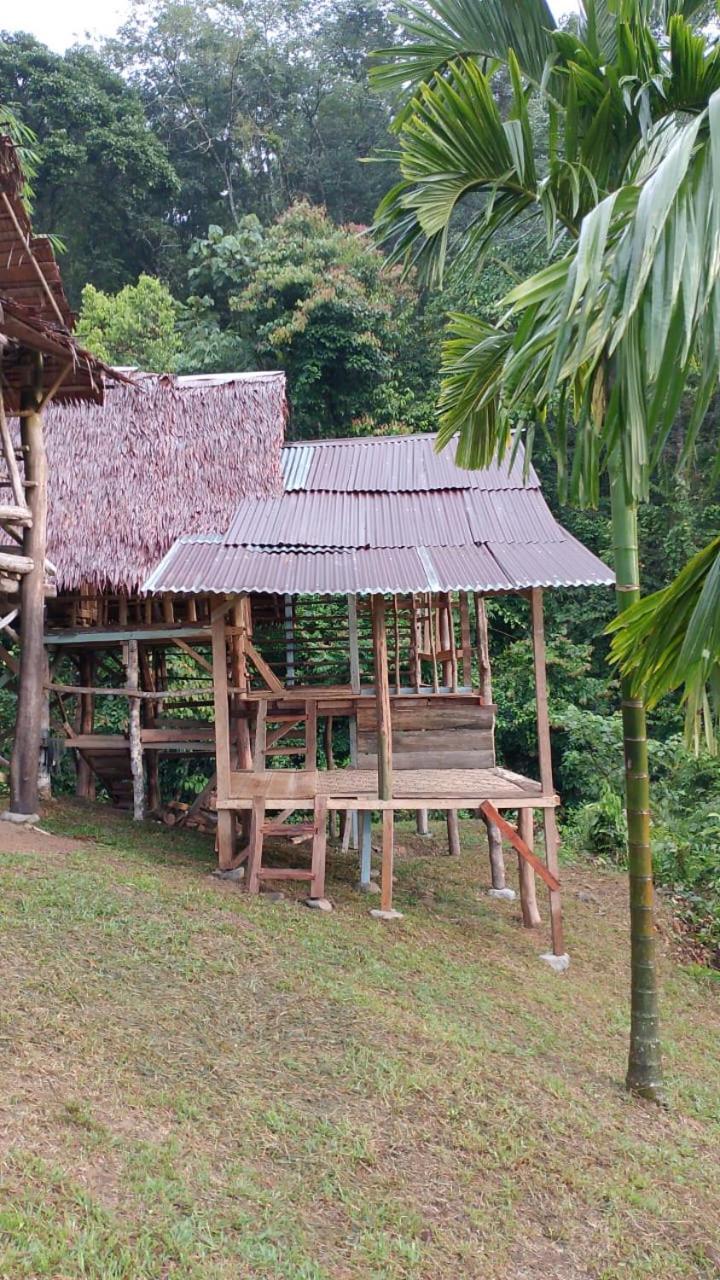 Orangutantreksumatra & Lovely Jungle Lodge Only Book If You Are Treking With Us Bukit Lawang Exteriör bild
