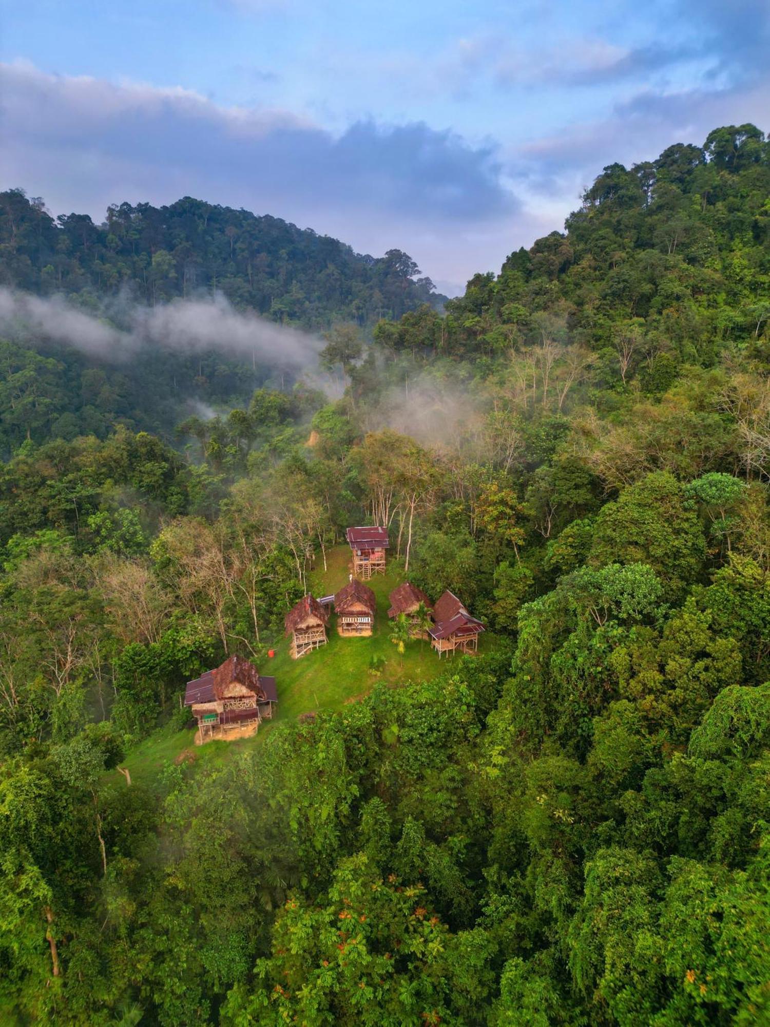 Orangutantreksumatra & Lovely Jungle Lodge Only Book If You Are Treking With Us Bukit Lawang Exteriör bild