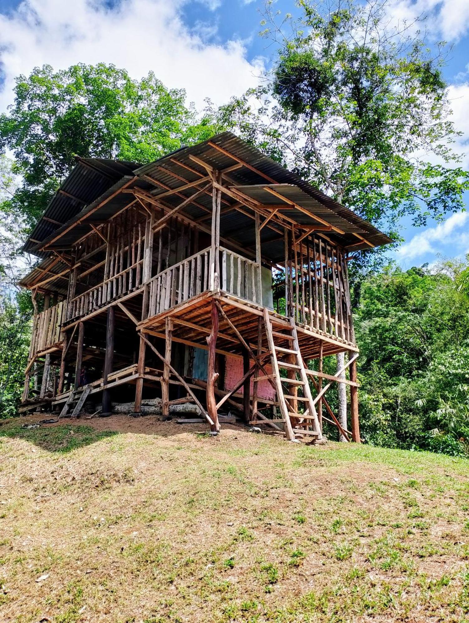 Orangutantreksumatra & Lovely Jungle Lodge Only Book If You Are Treking With Us Bukit Lawang Exteriör bild